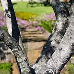 Quinta Da Eira Do Sol