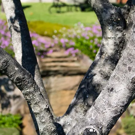 Quinta Da Eira Do Sol