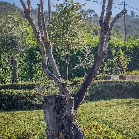 Quinta Da Eira Do Sol Séjour à la ferme *