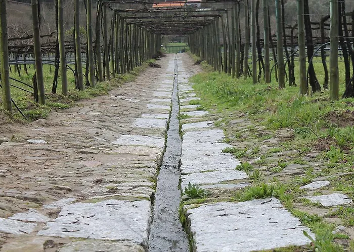Alojamento de Turismo Rural Quinta Da Eira Do Sol