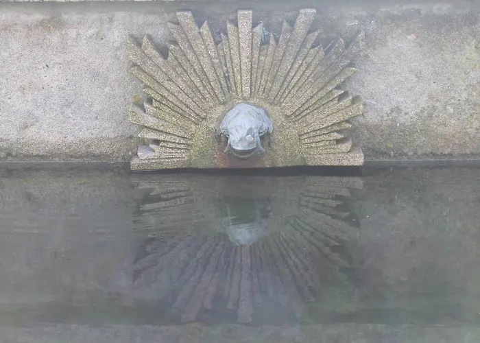 Farma Quinta Da Eira Do Sol *