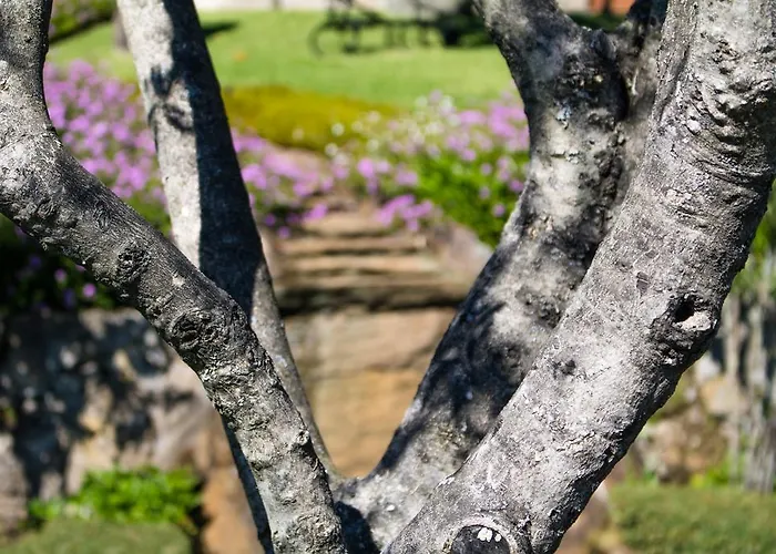 Quinta Da Eira Do Sol