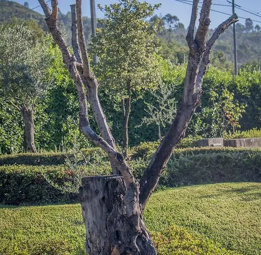 Quinta Da Eira Do Sol Alojamento de Turismo Rural *